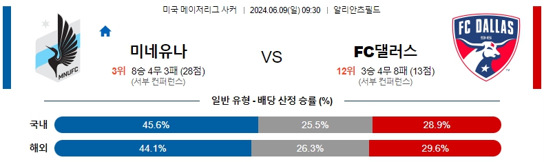 미네소타.jpg