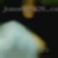 Sex ads CT